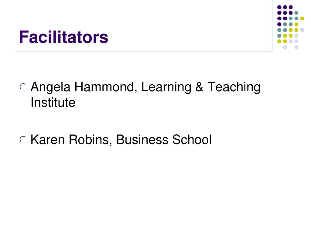 facilitators n.