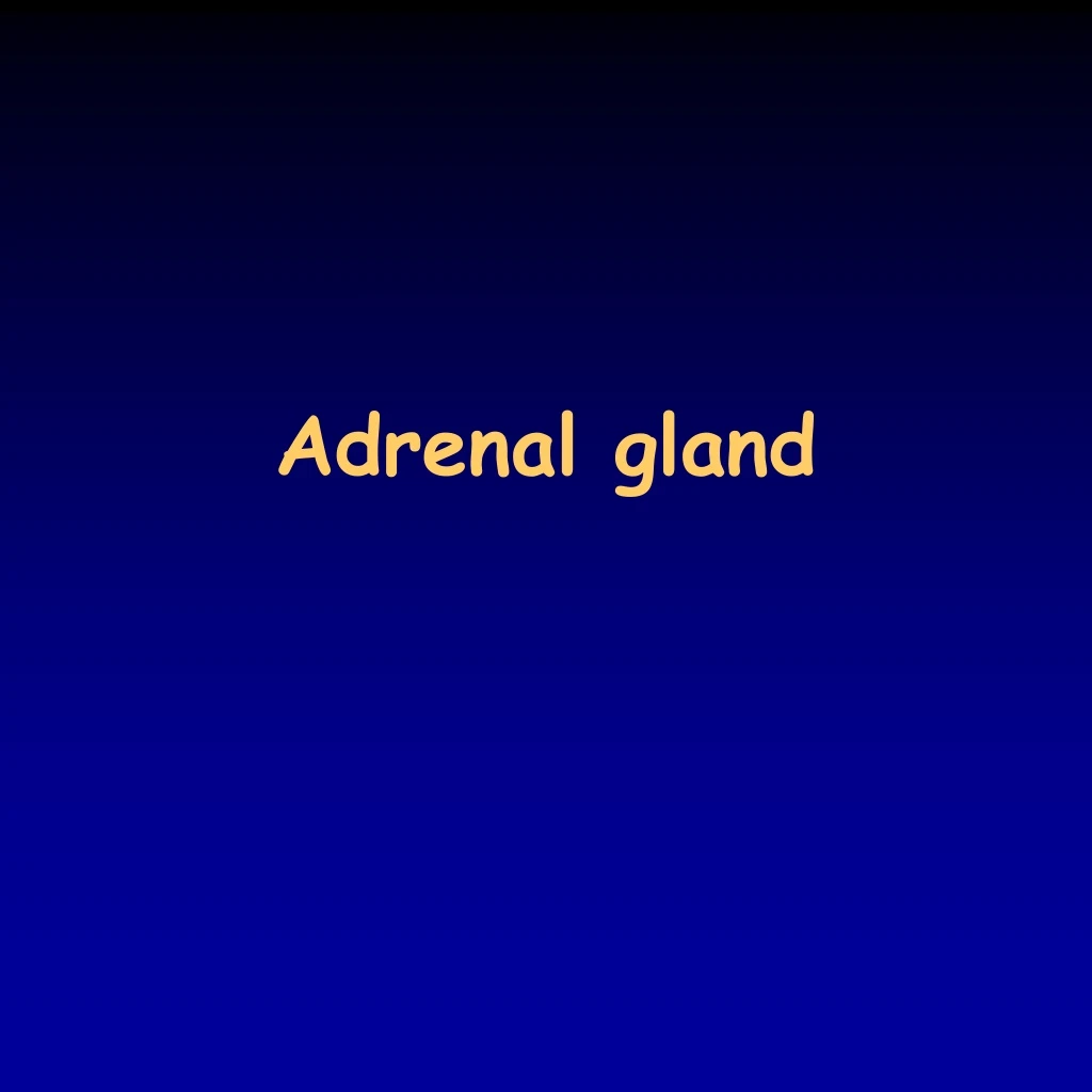 PPT - Adrenal gland PowerPoint Presentation, free download - ID:8748074