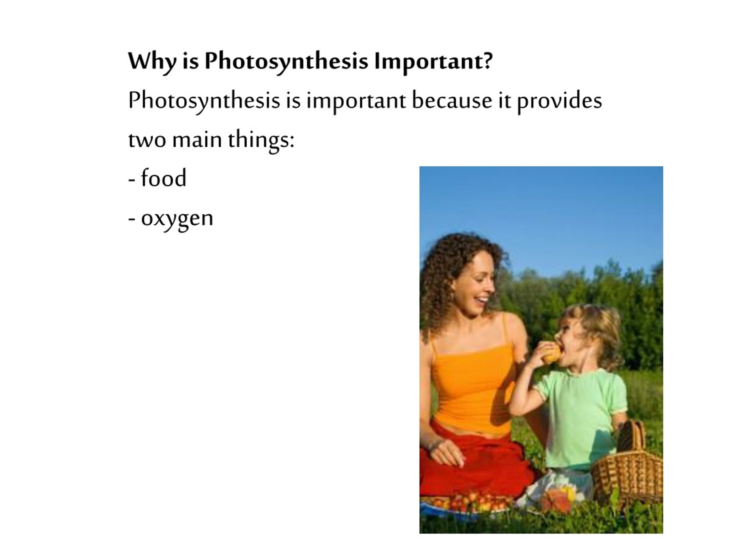 Ppt Photosynthesis Powerpoint Presentation Free Download Id8748495 