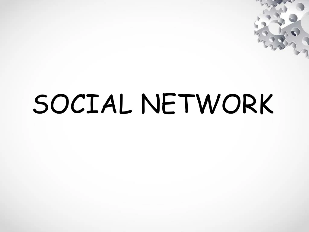 social network n.