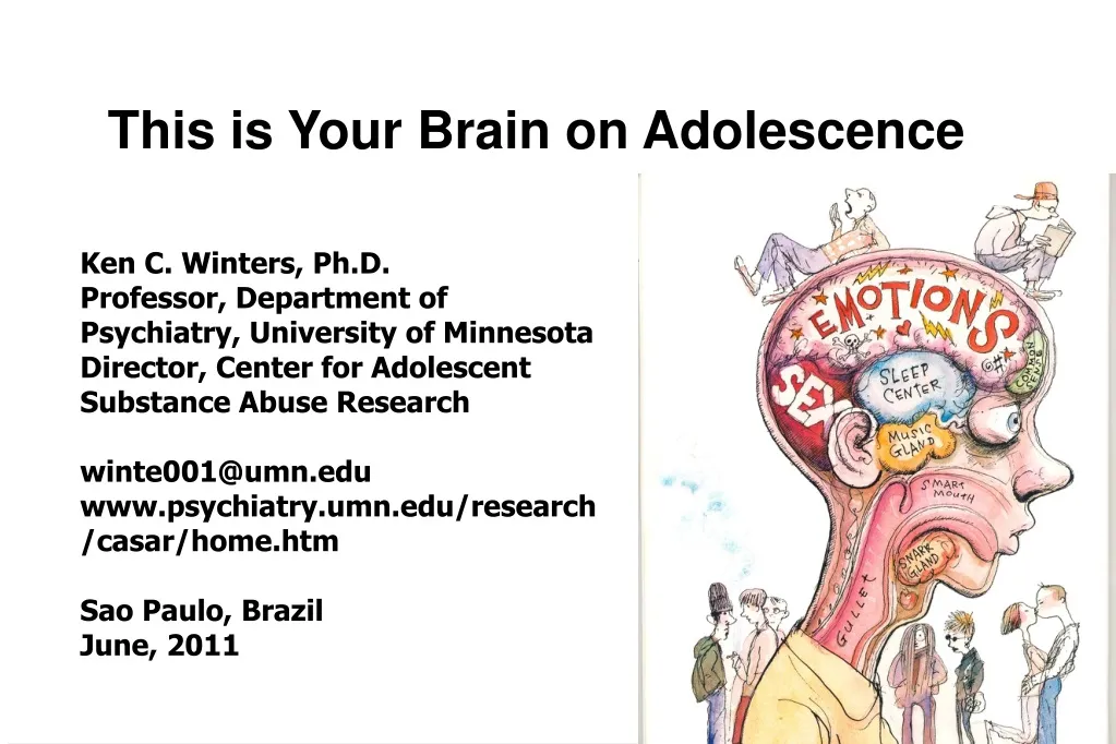 this is your brain on adolescence n.