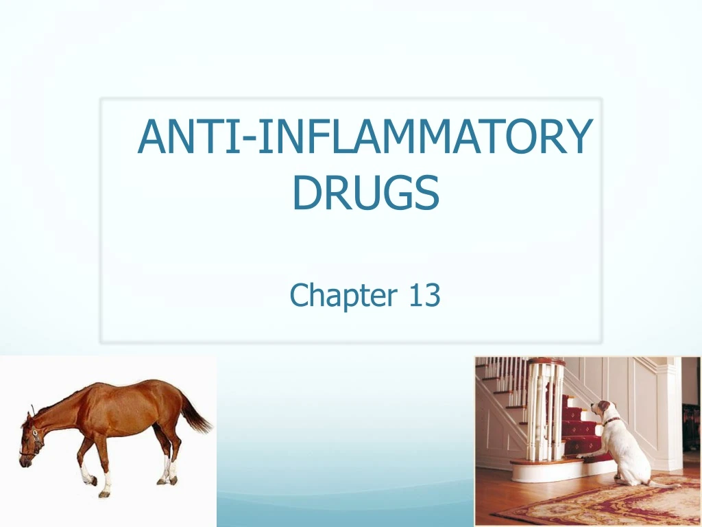 PPT ANTIINFLAMMATORY DRUGS Chapter 13 PowerPoint Presentation, free