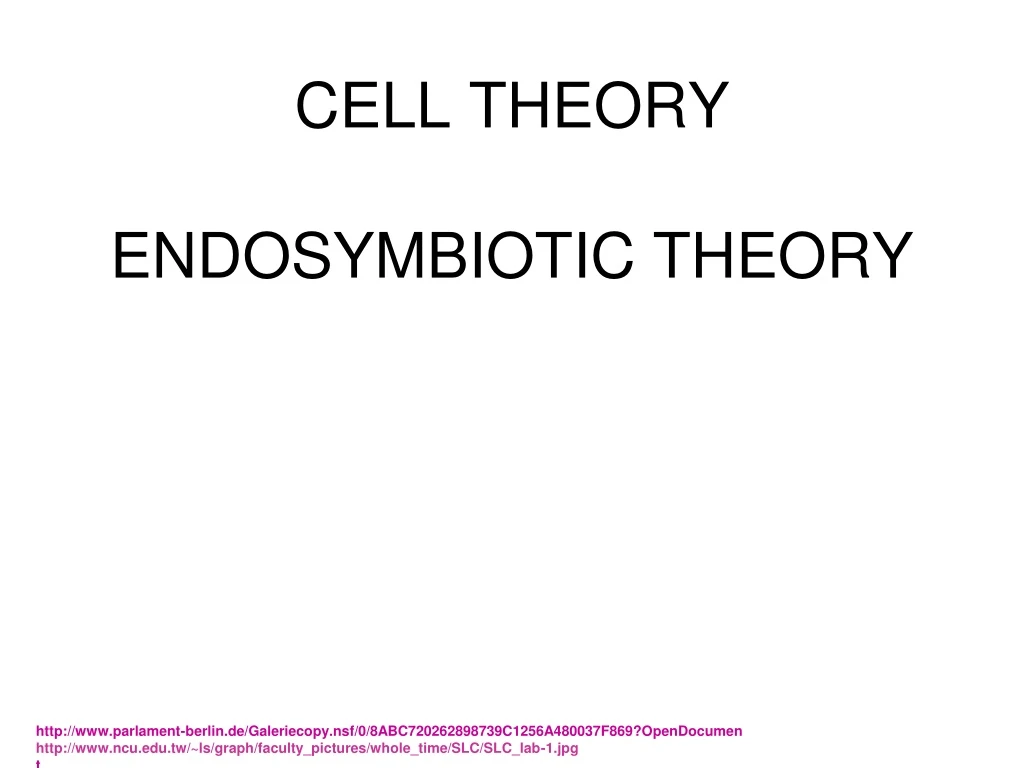 cell theory endosymbiotic theory n.