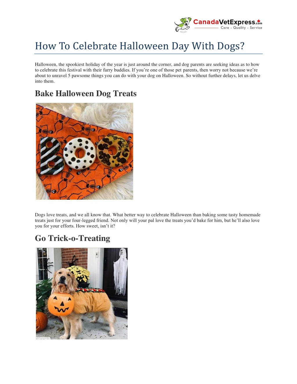 how to celebrate halloween day with dogs n.