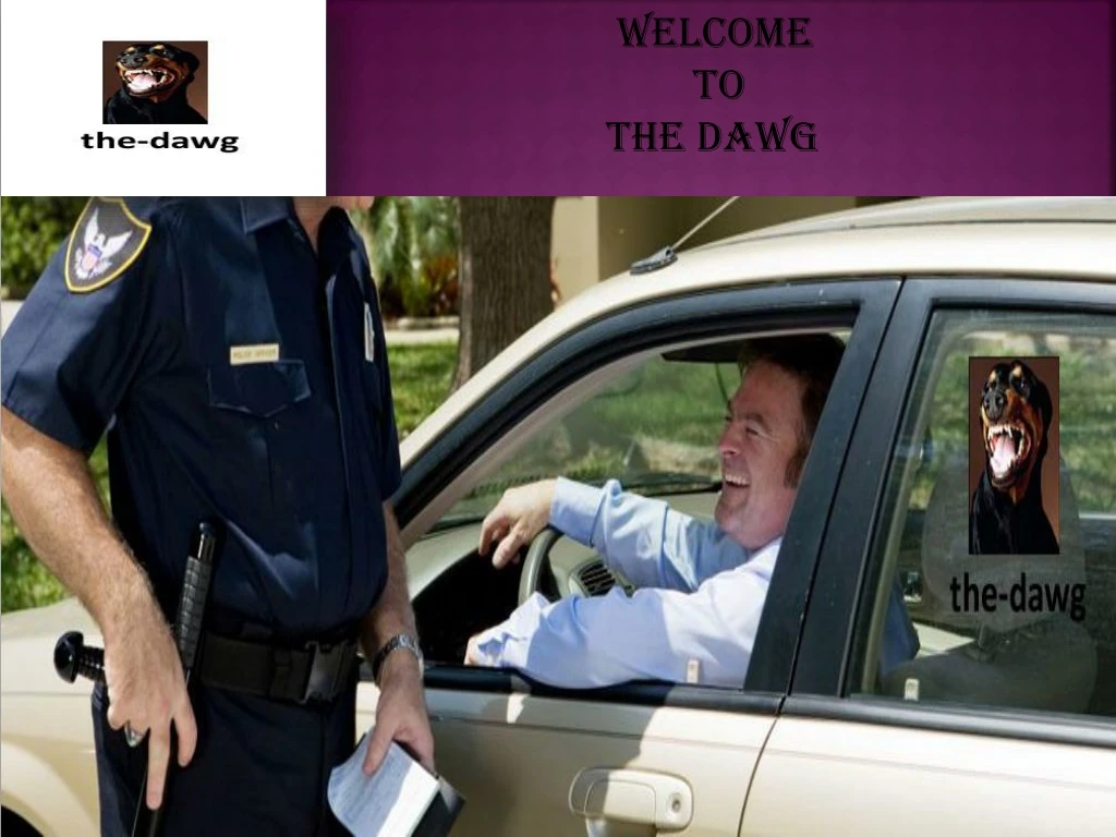 welcome to the dawg n.
