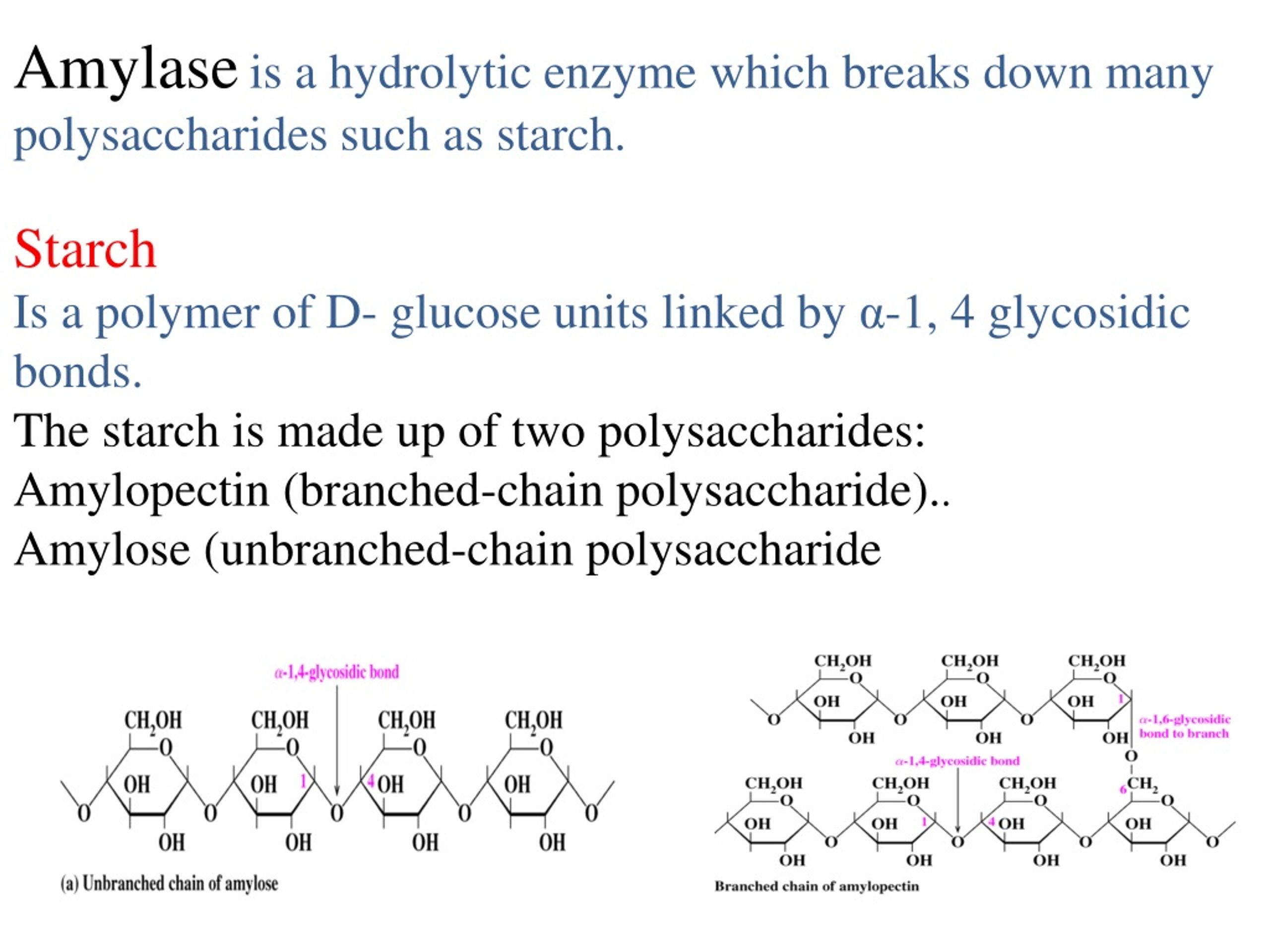 Ppt The Hydrolytic Activity Of Salivary Amylase On Starch Powerpoint