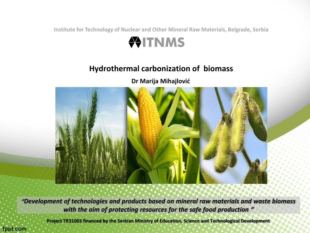 PPT - Hydrothermal Carbonization Of Biomass PowerPoint Presentation ...