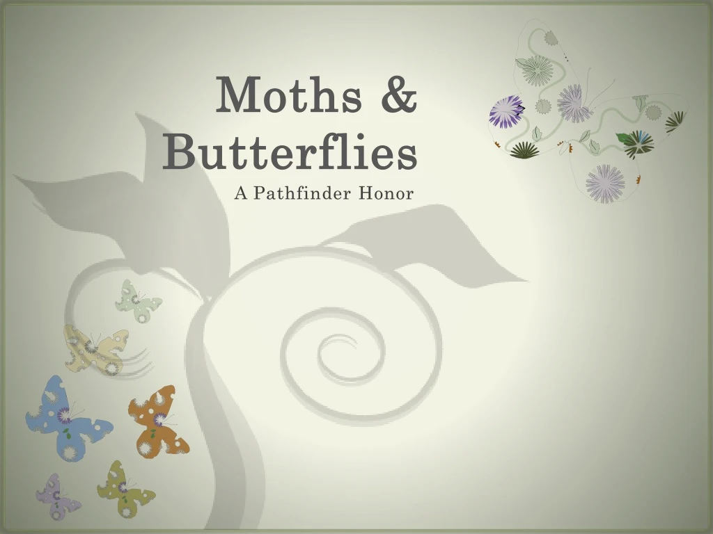 moths butterflies n.
