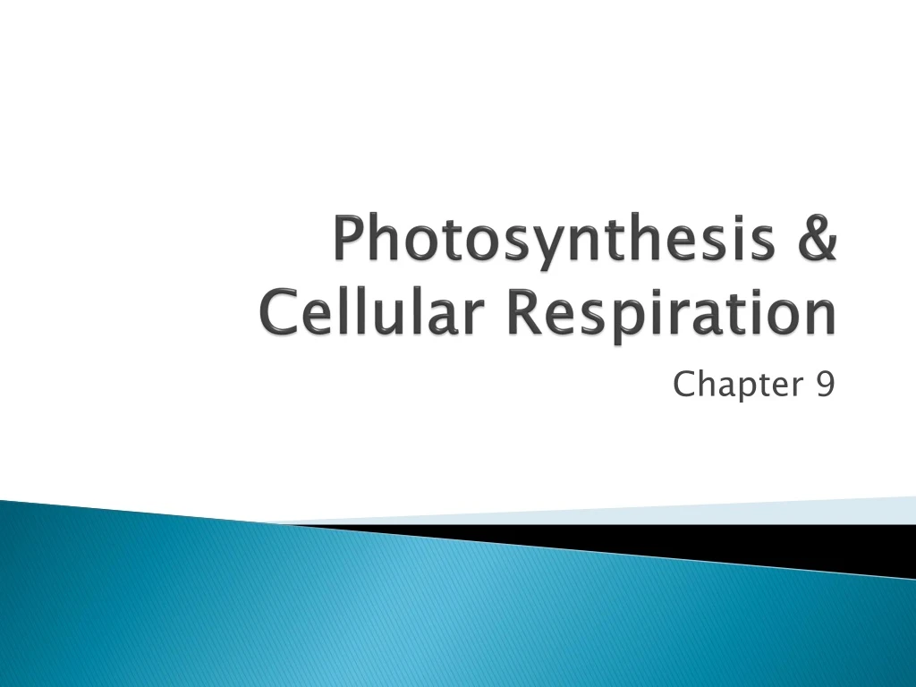 Ppt Photosynthesis And Cellular Respiration Powerpoint Presentation Id 8767855