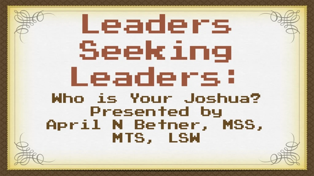 leaders seeking leaders n.