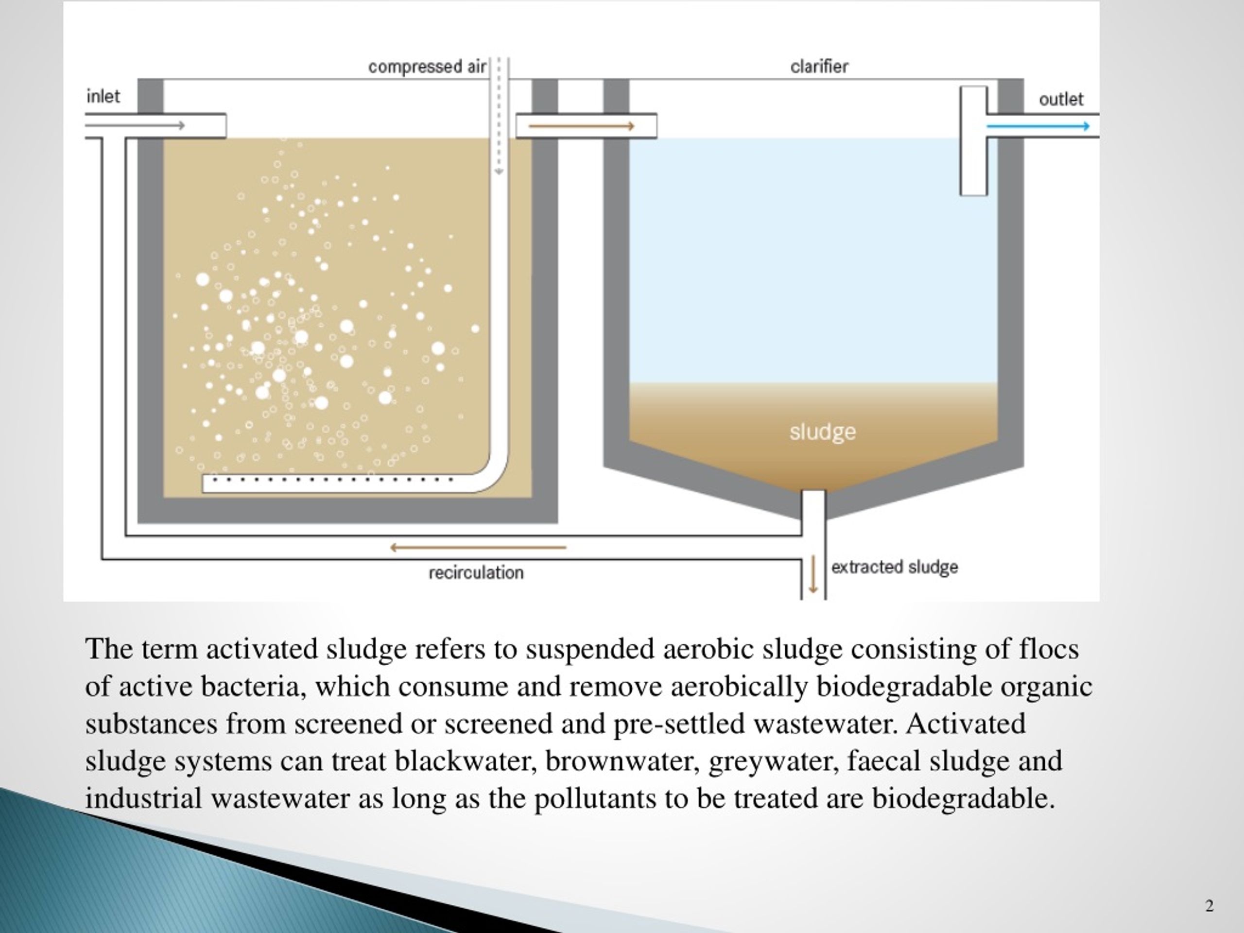 PPT - AEROBIC WASTEWATER TREATMENT PROCESSES ACTIVATED SLUDGE PROCESS ...