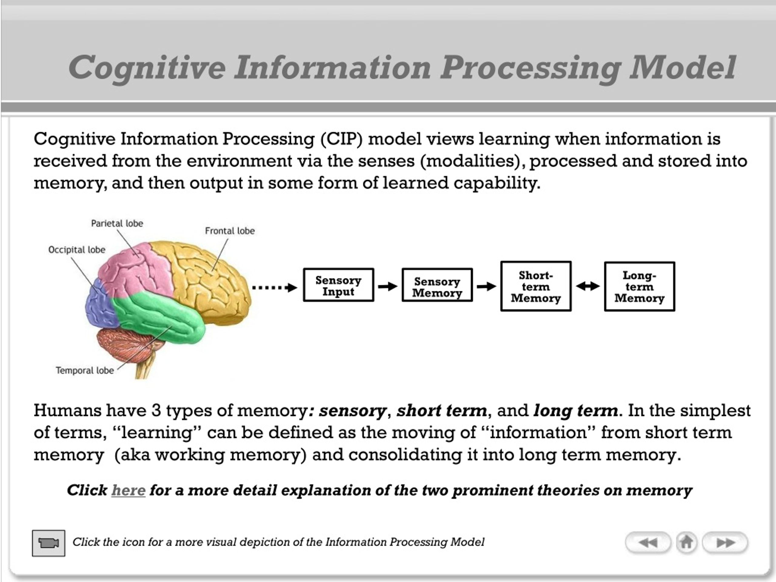 Cognitive processing. Cognitive processes. Когнитивная информация. Forms of Cognition. Long short term Memory.