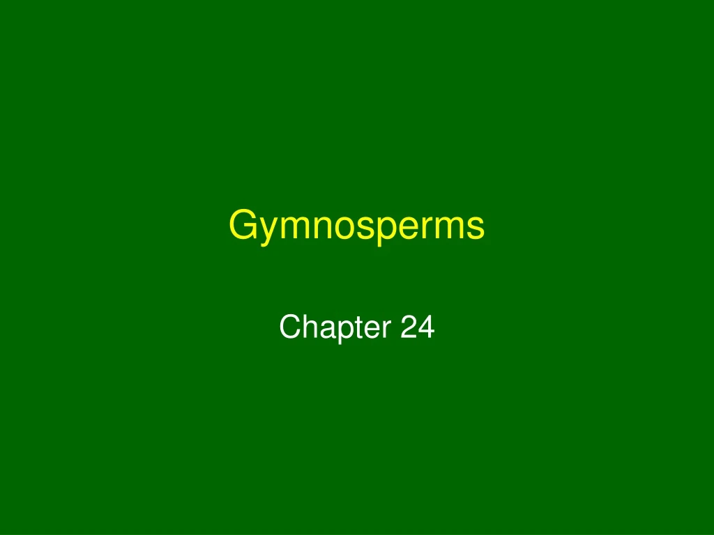 gymnosperms n.