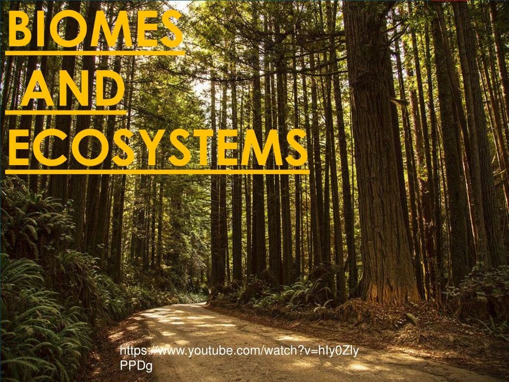 PPT - BIOMES AND ECOSYSTEMS PowerPoint Presentation, Free Download - ID:8778640