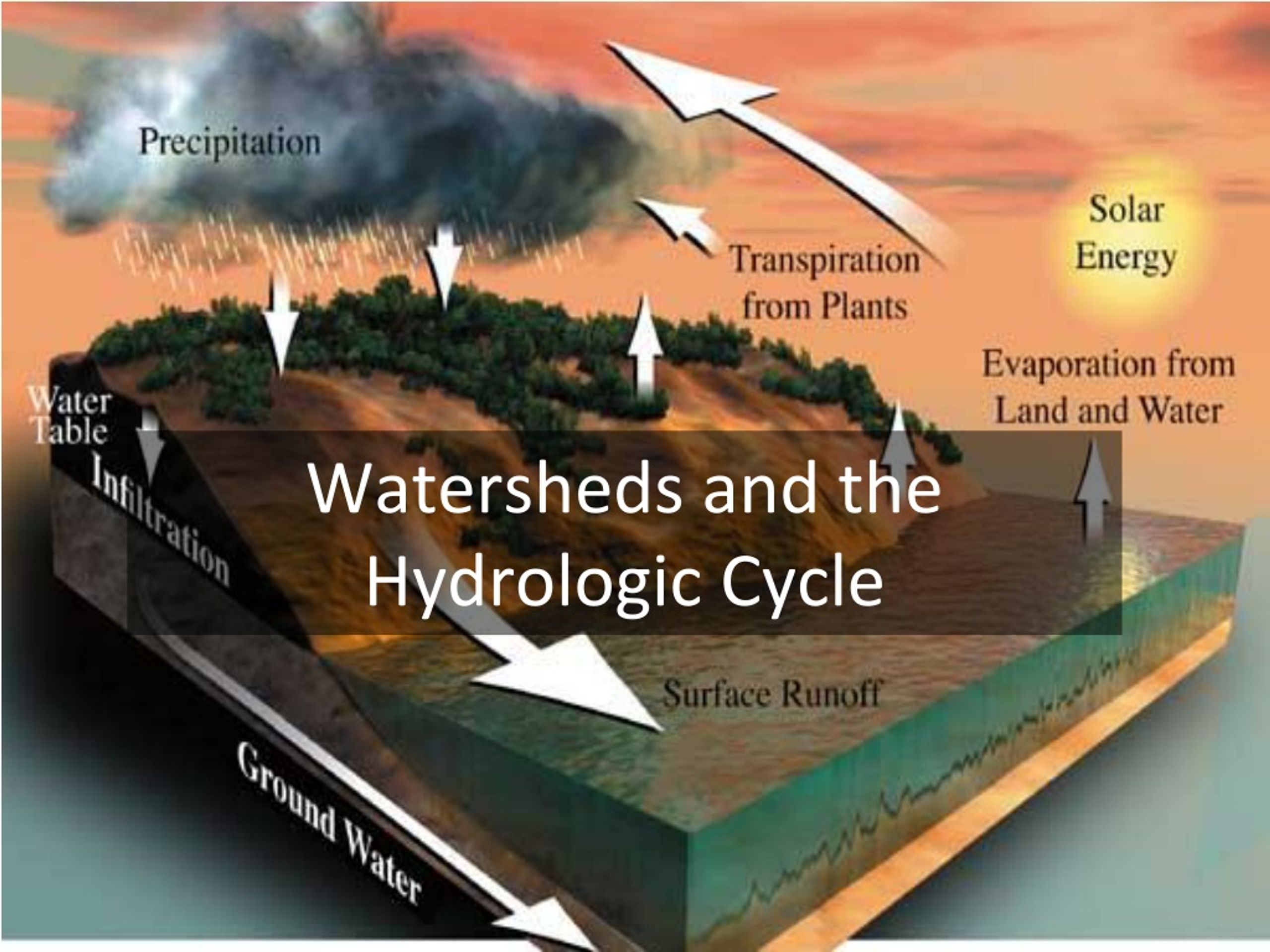 Ppt Watersheds And The Hydrologic Cycle Powerpoint Presentation Free Download Id8787444 6942