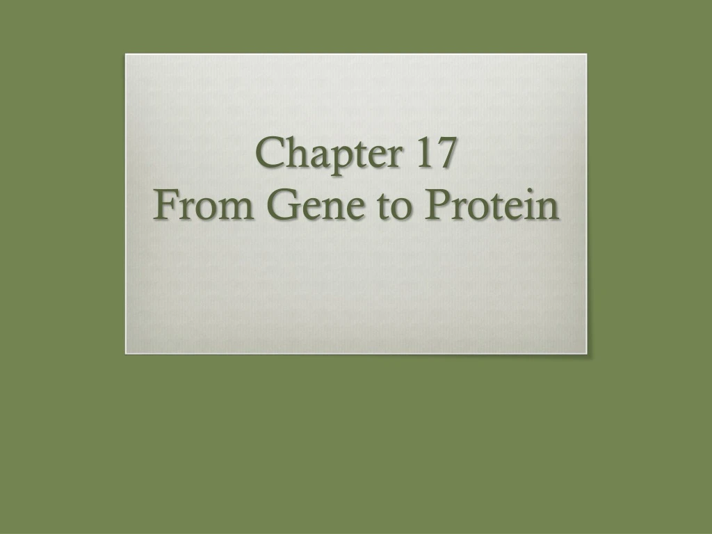 PPT - Chapter 17 From Gene To Protein PowerPoint Presentation, Free ...