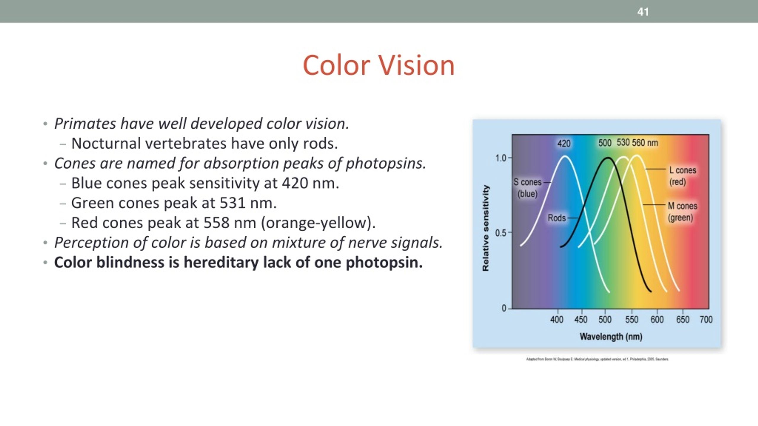 PPT - BI 232 Laboratory General Senses & Special Senses: Vision