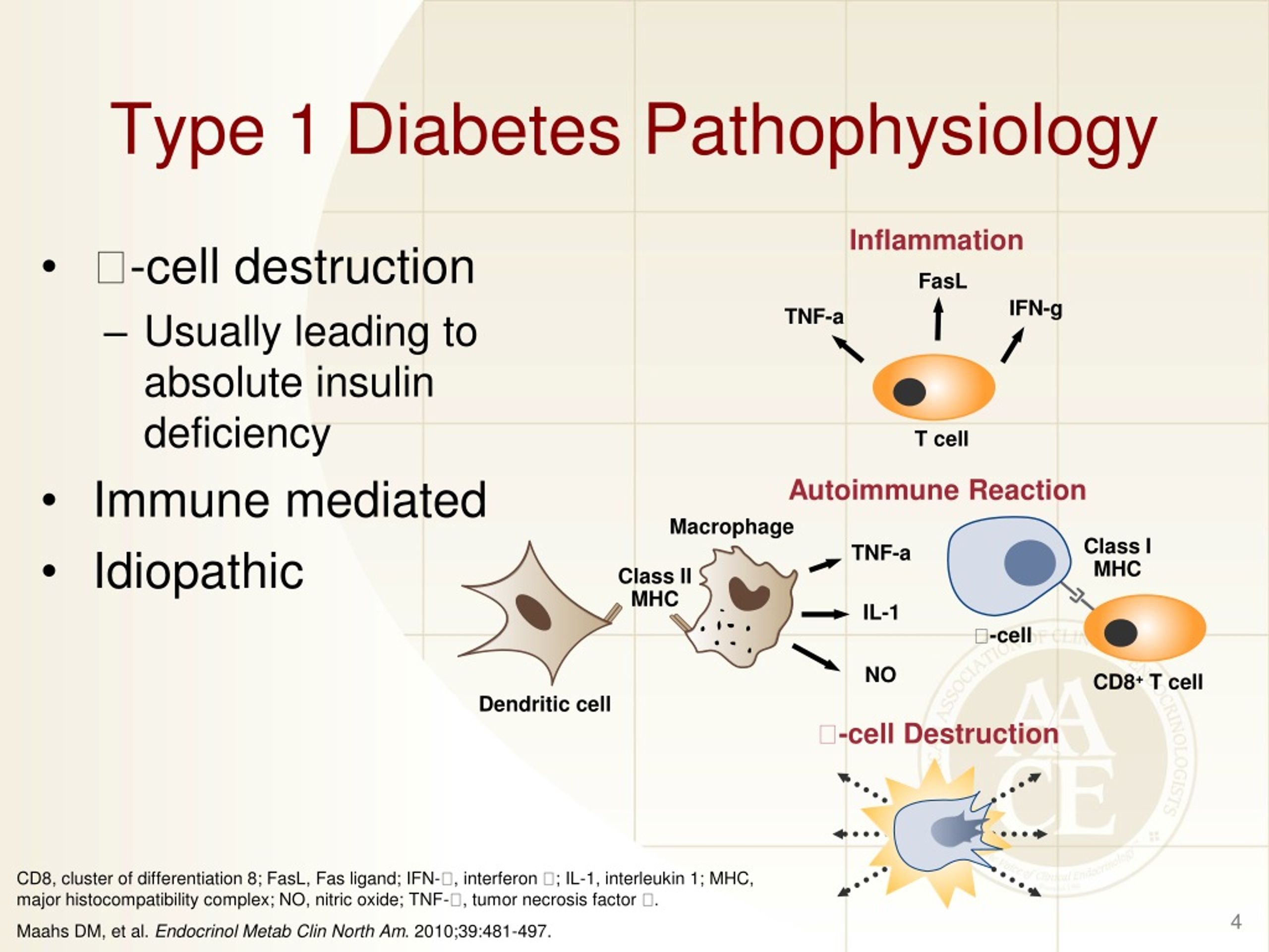 PPT Pathophysiology Of Type Diabetes PowerPoint Presentation Free Download ID