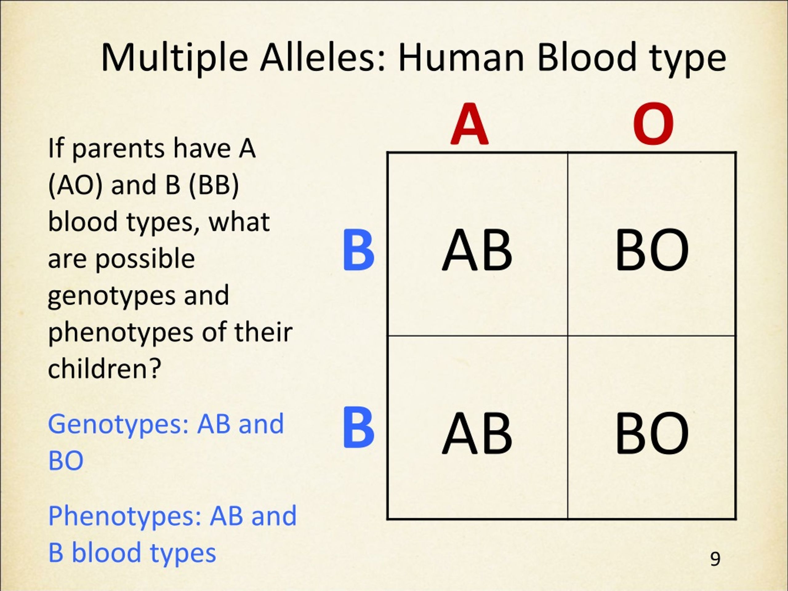 Blood Type Allele Chart