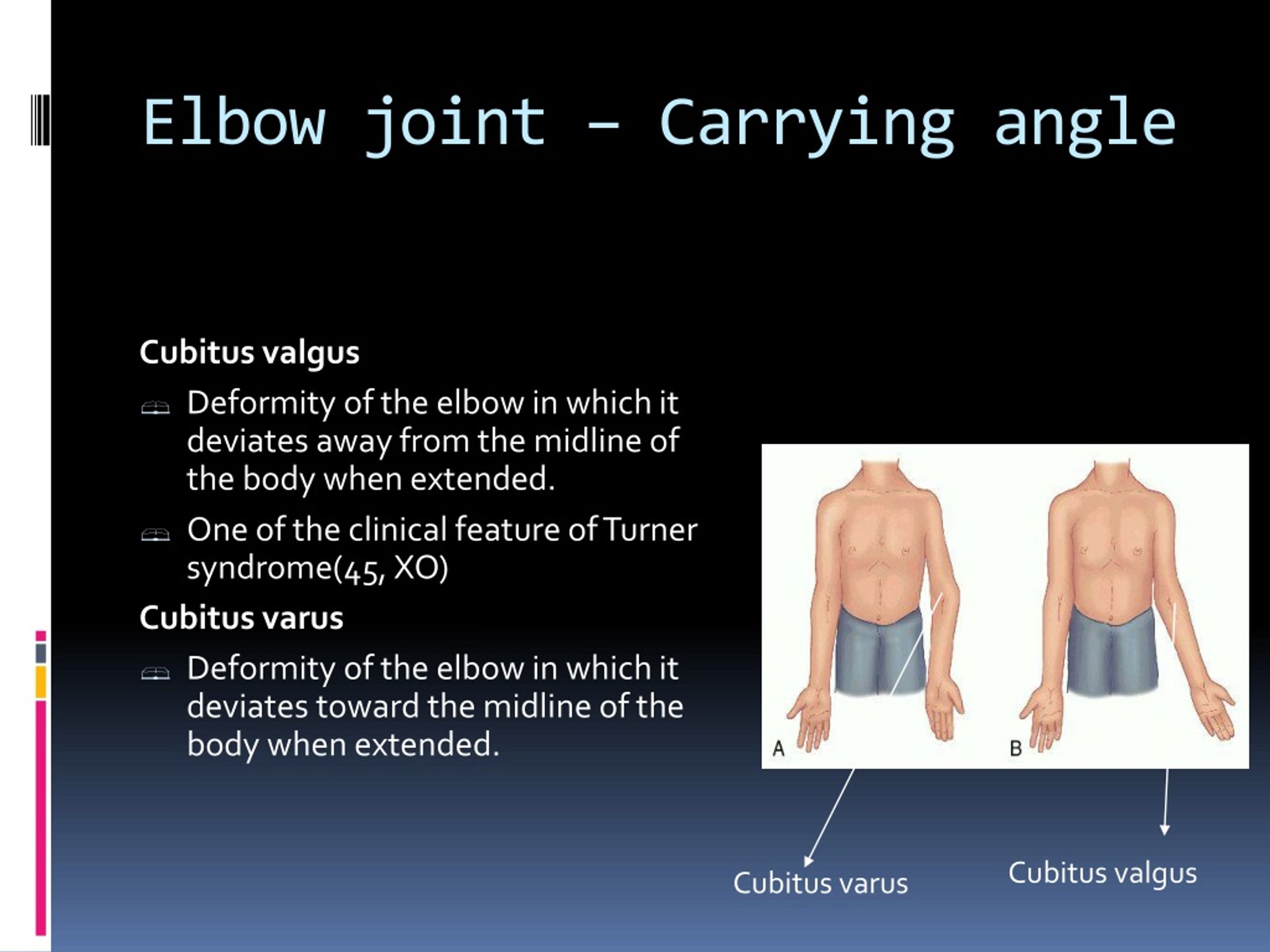 Ppt Elbow Joint Powerpoint Presentation Free Download Id8796306 