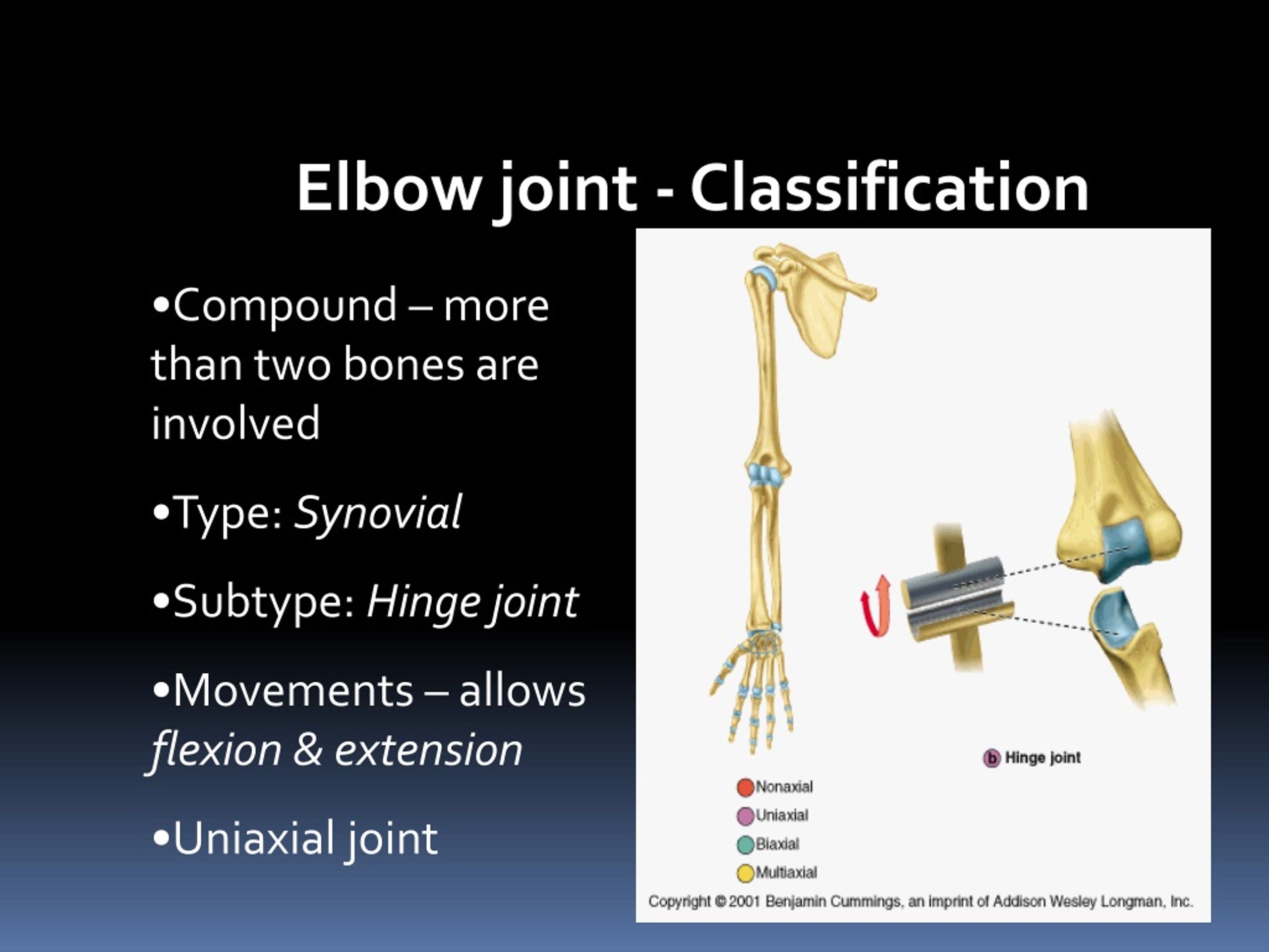 PPT - Elbow Joint PowerPoint Presentation, Free Download - ID:8796306