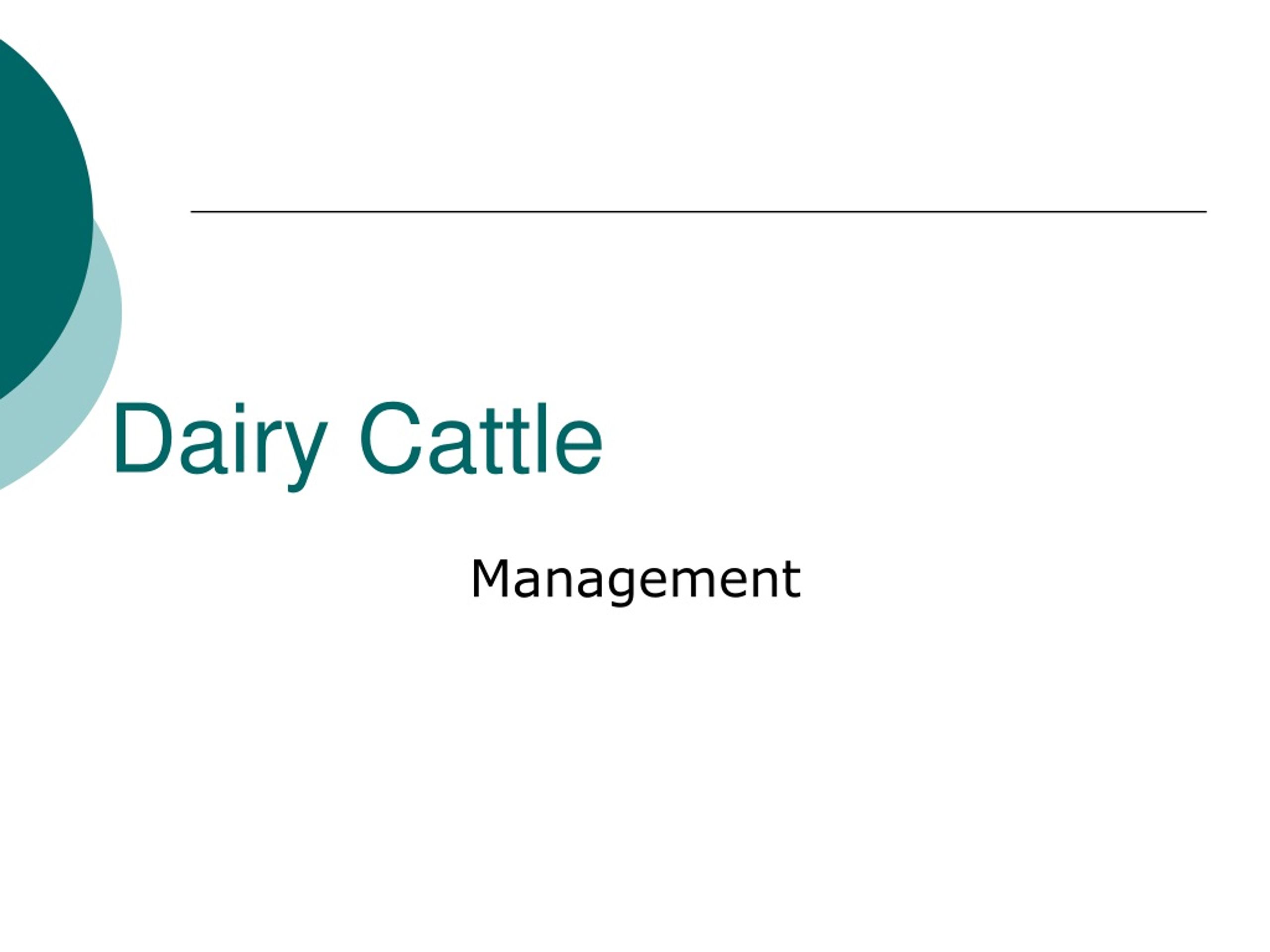 PPT - Dairy Cattle PowerPoint Presentation, Free Download - ID:8796524