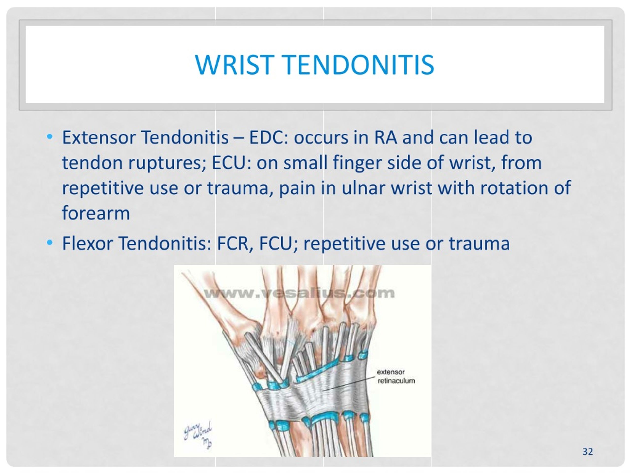 Ppt - Orthopedic Problems In The Upper Extremity Powerpoint 