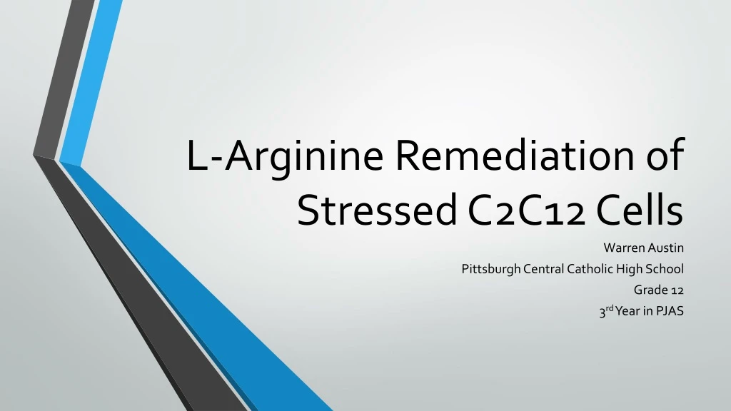 l arginine remediation of stressed c2c12 cells n.