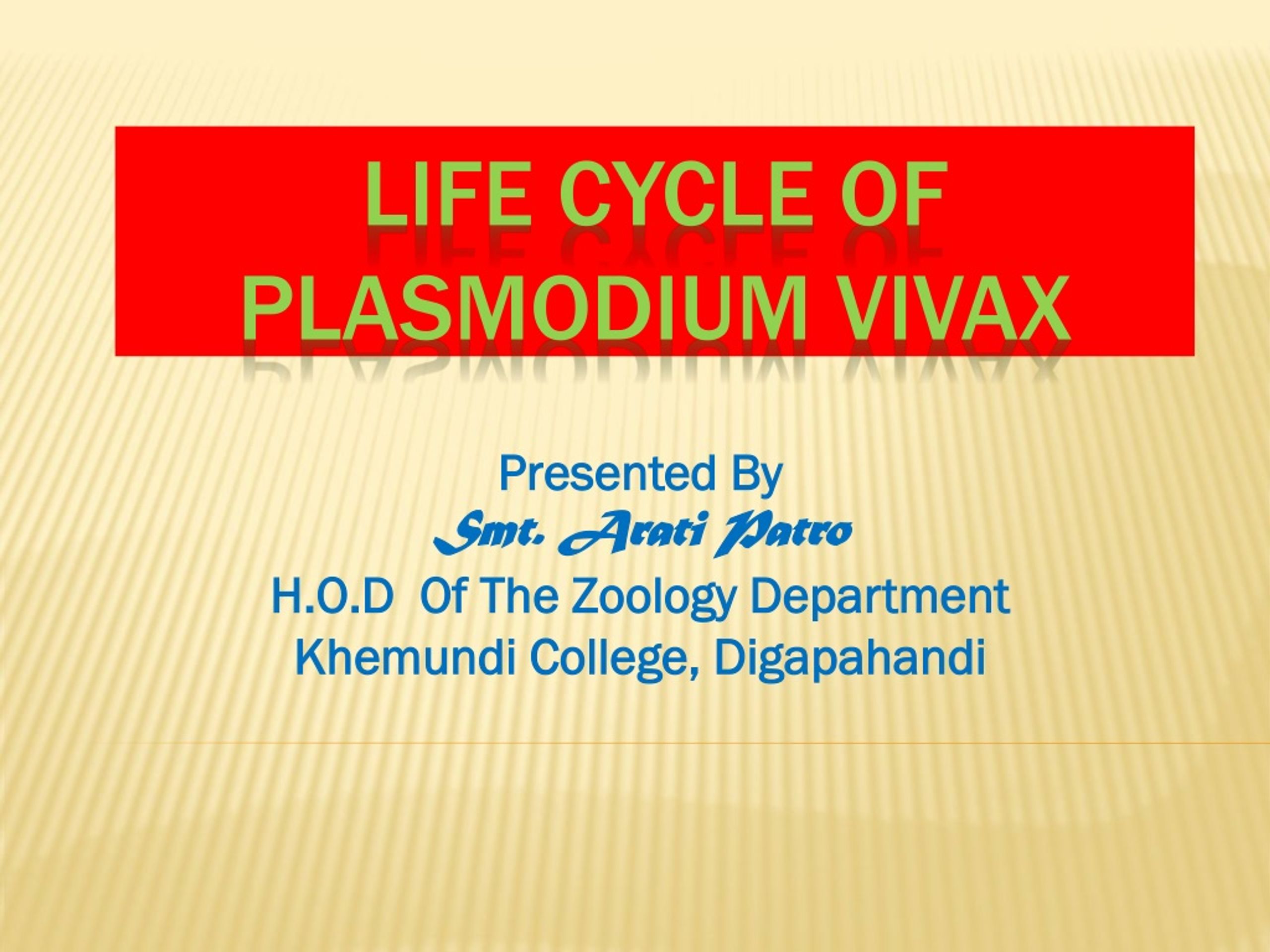 plasmodium vivax life cycle animation