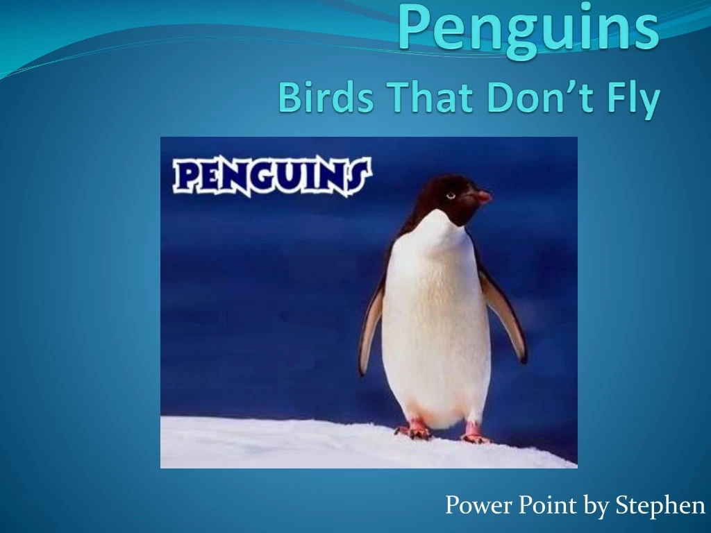 penguins birds t hat d on t fly n.