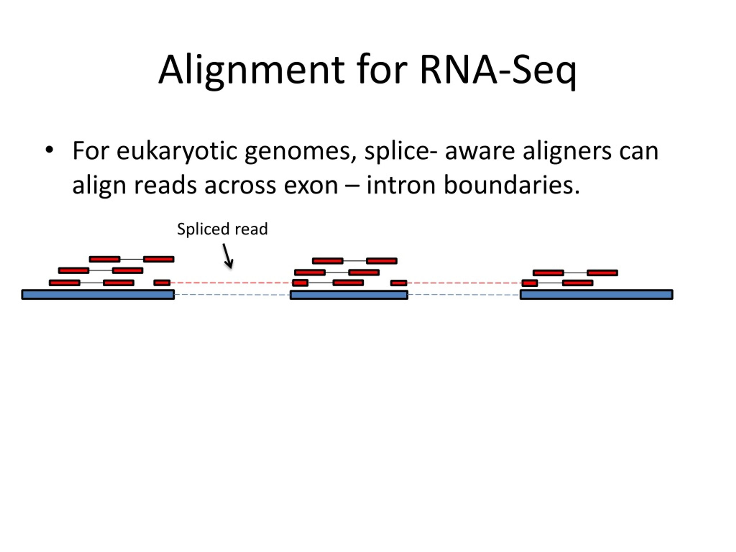 PPT RNA Seq Data Analysis PowerPoint Presentation free