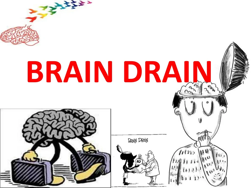 PPT - BRAIN DRAIN PowerPoint Presentation, free download - ID:8810825