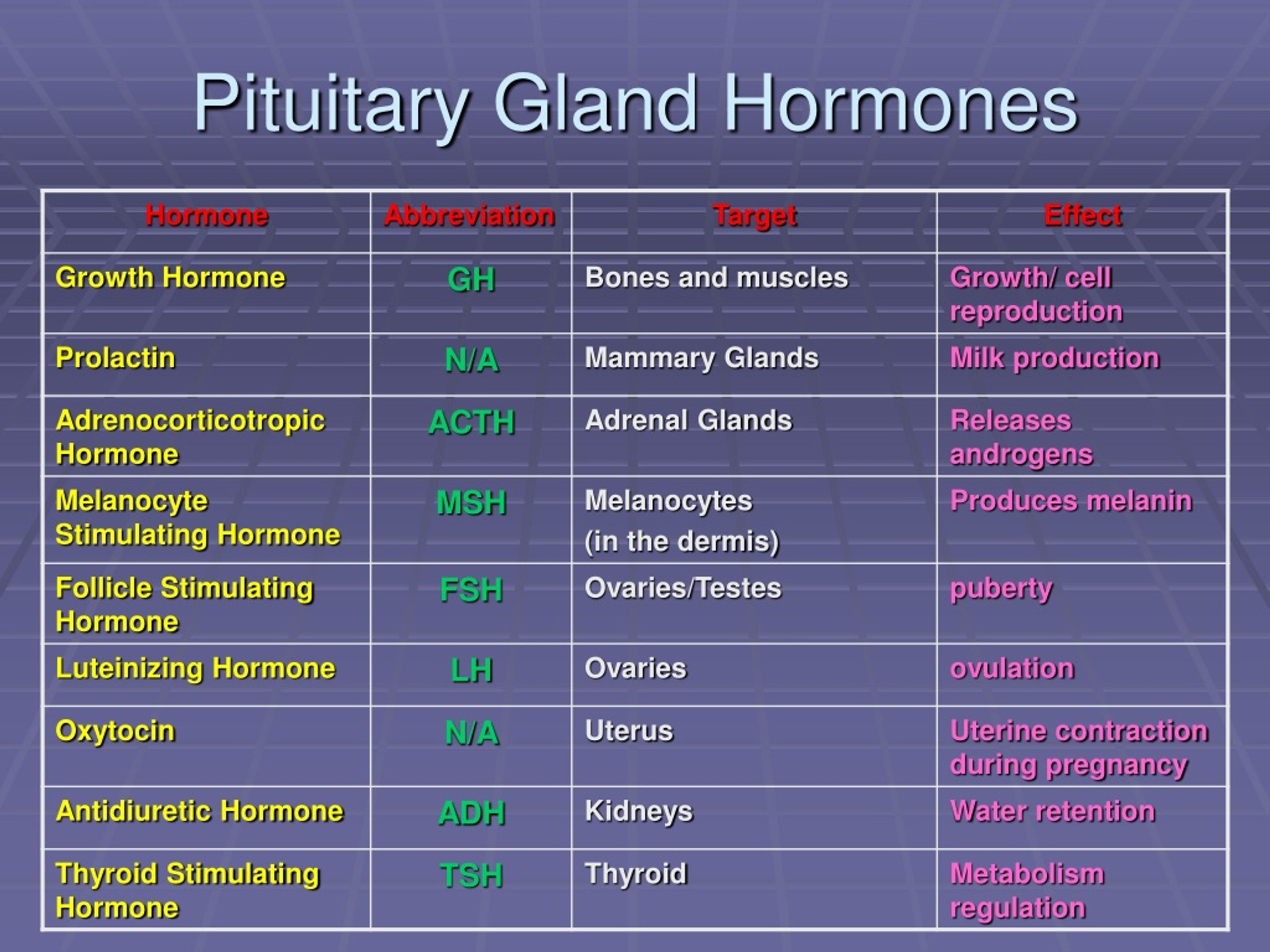 PPT - The Endocrine System PowerPoint Presentation, free download - ID ...