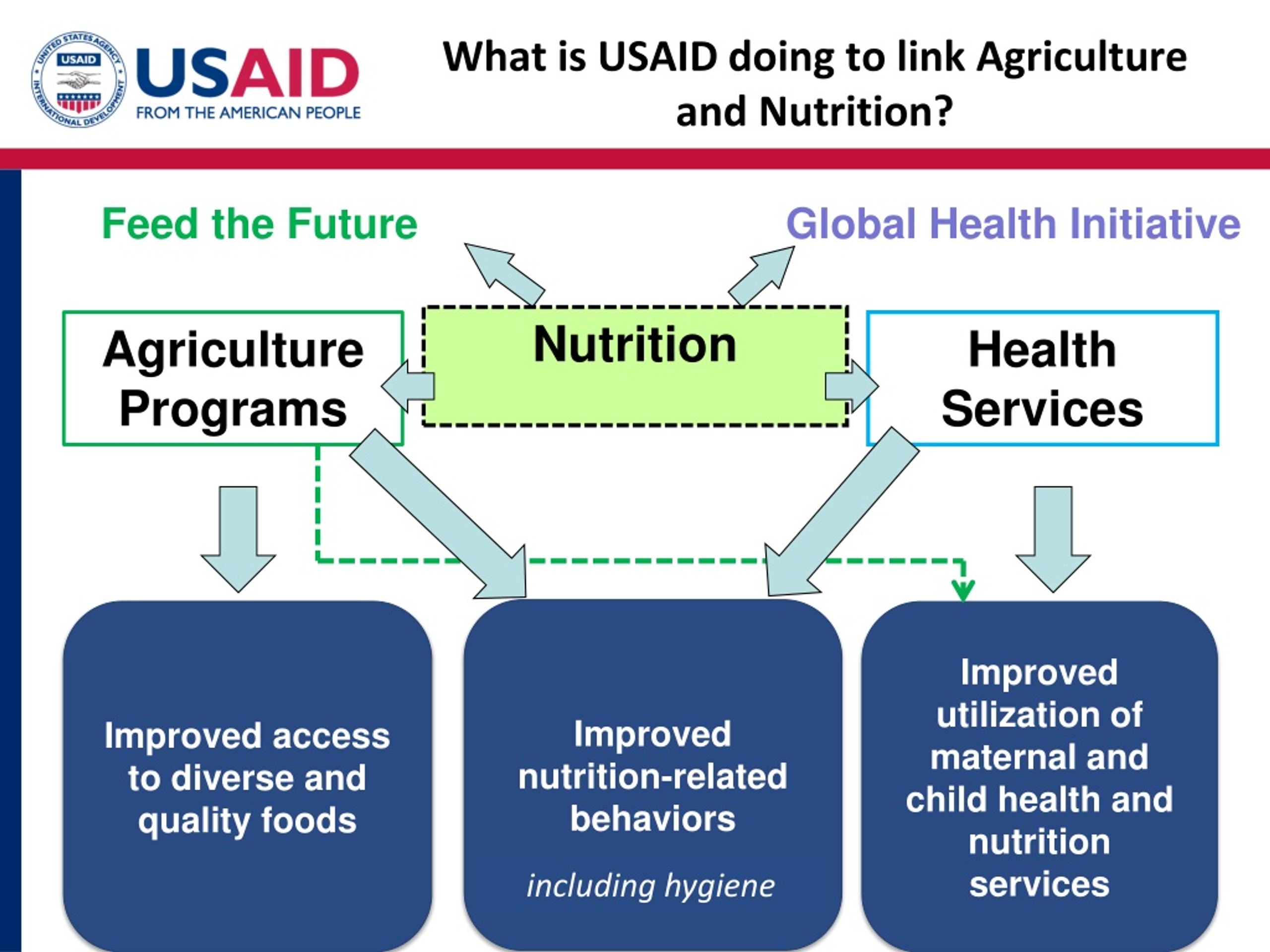 PPT - Gender, Agriculture, And Nutrition Linkages PowerPoint ...