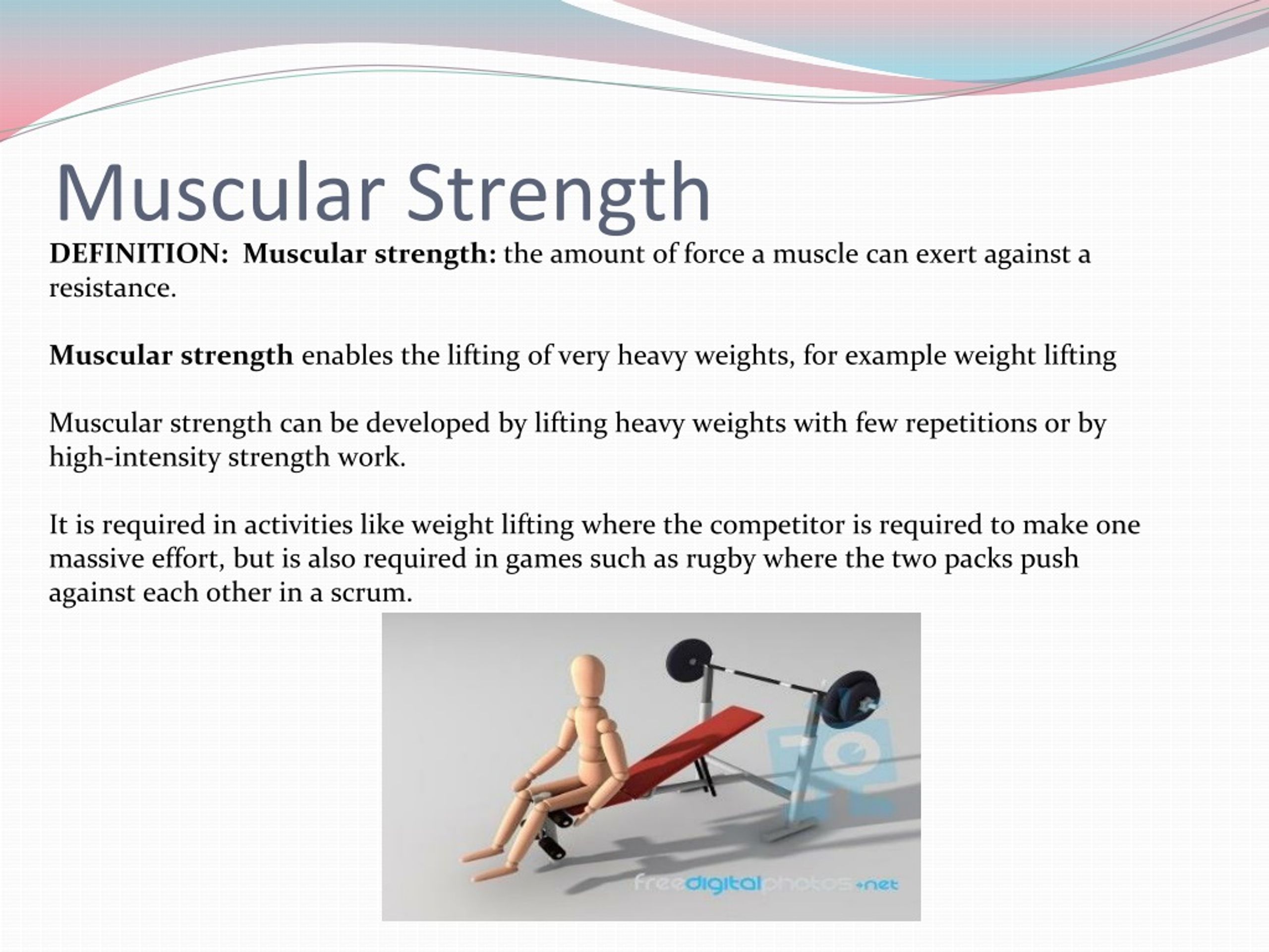 What Are The Two Types Of Muscular Strength