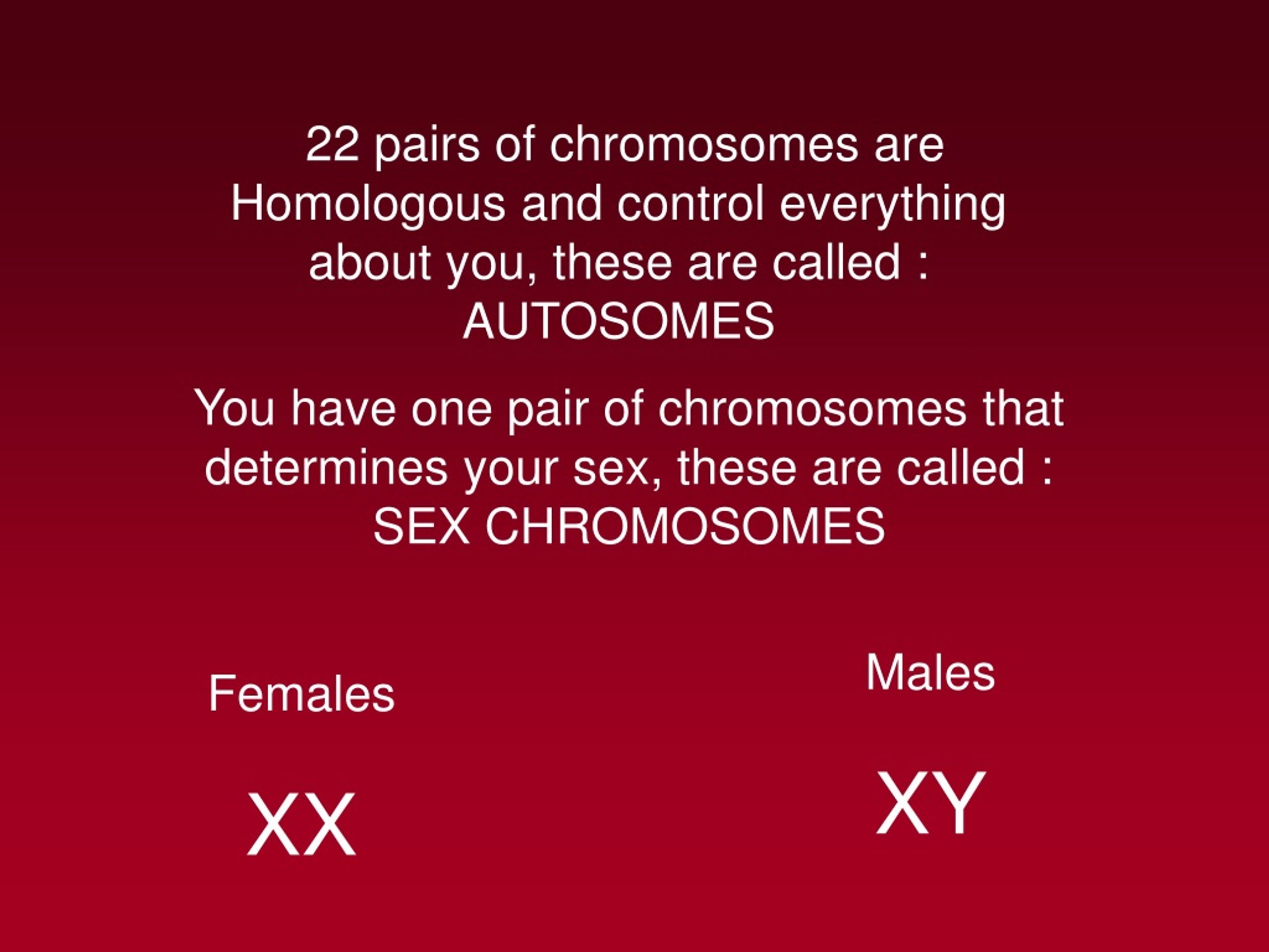 Ppt Understanding Chromosomes Structure Traits And Meiosis Powerpoint Presentation Id8819552 5874