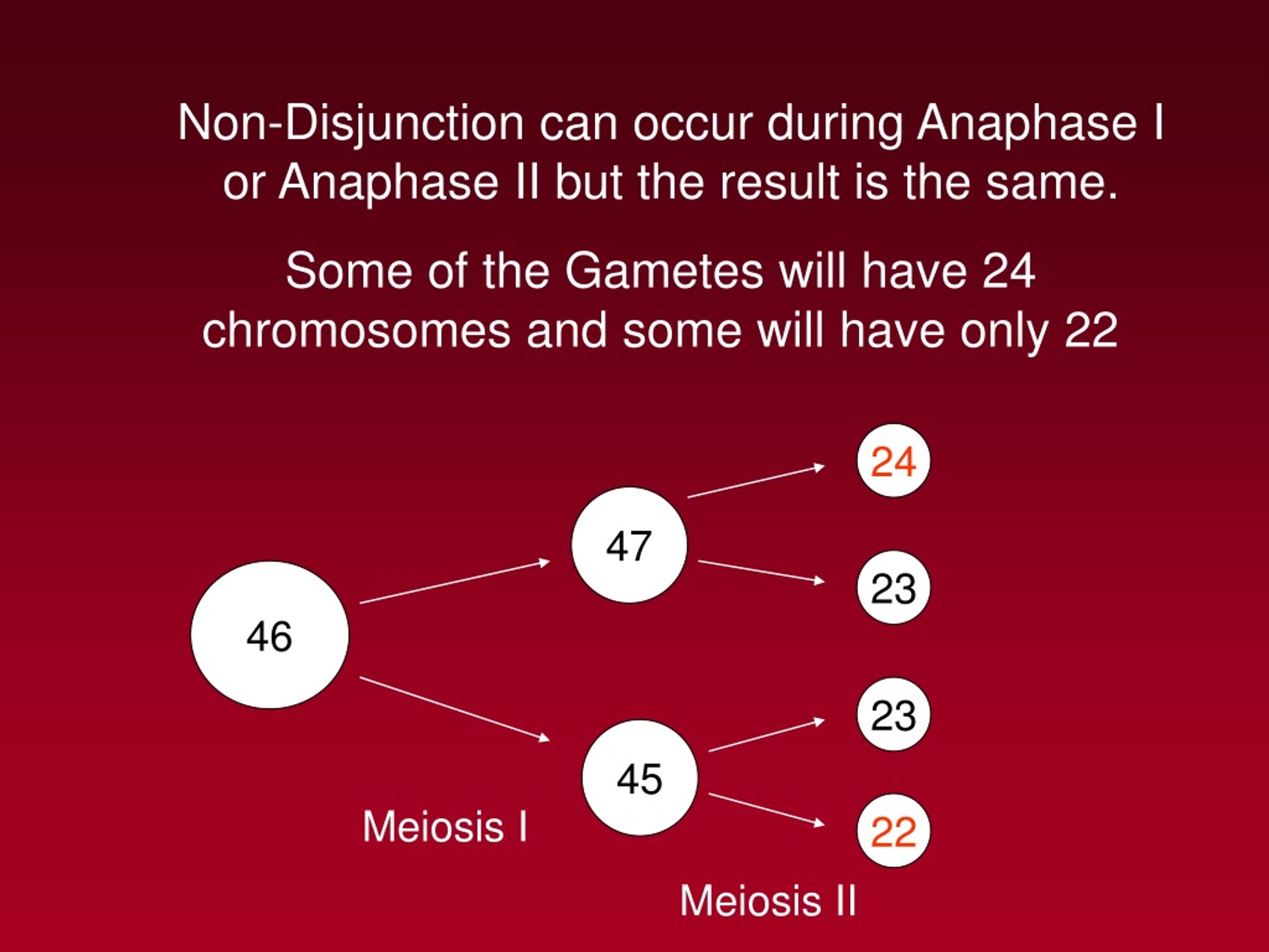 Ppt Understanding Chromosomes Structure Traits And Meiosis Powerpoint Presentation Id8819552 0866