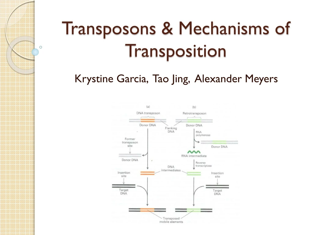 transposons mechanisms of transposition n.