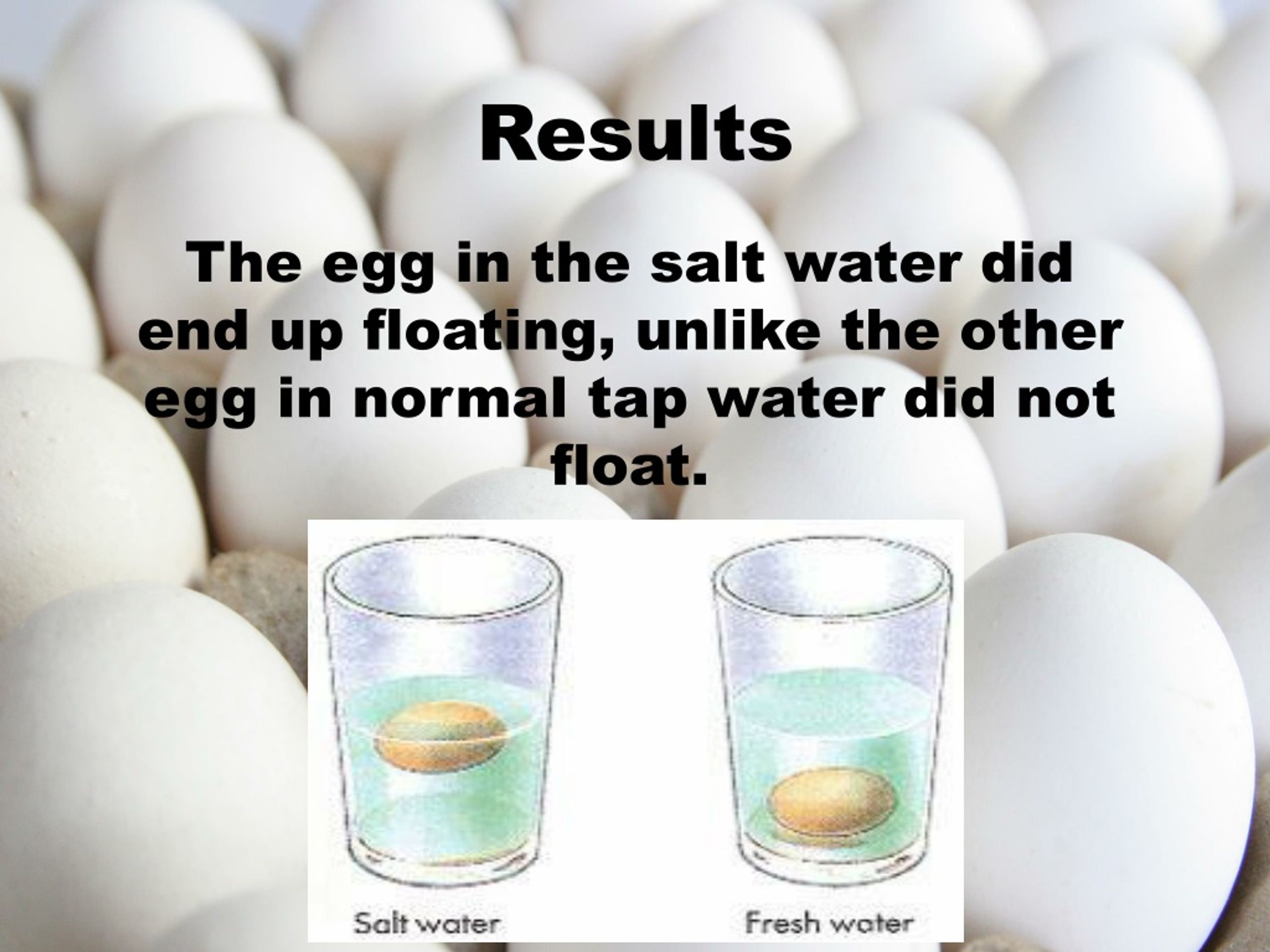 results of floating egg experiment