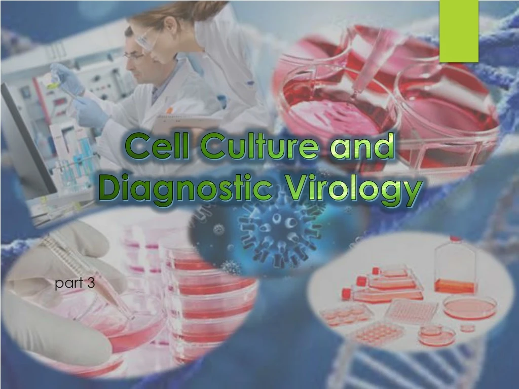 PPT Cell Culture and Diagnostic Virology PowerPoint Presentation