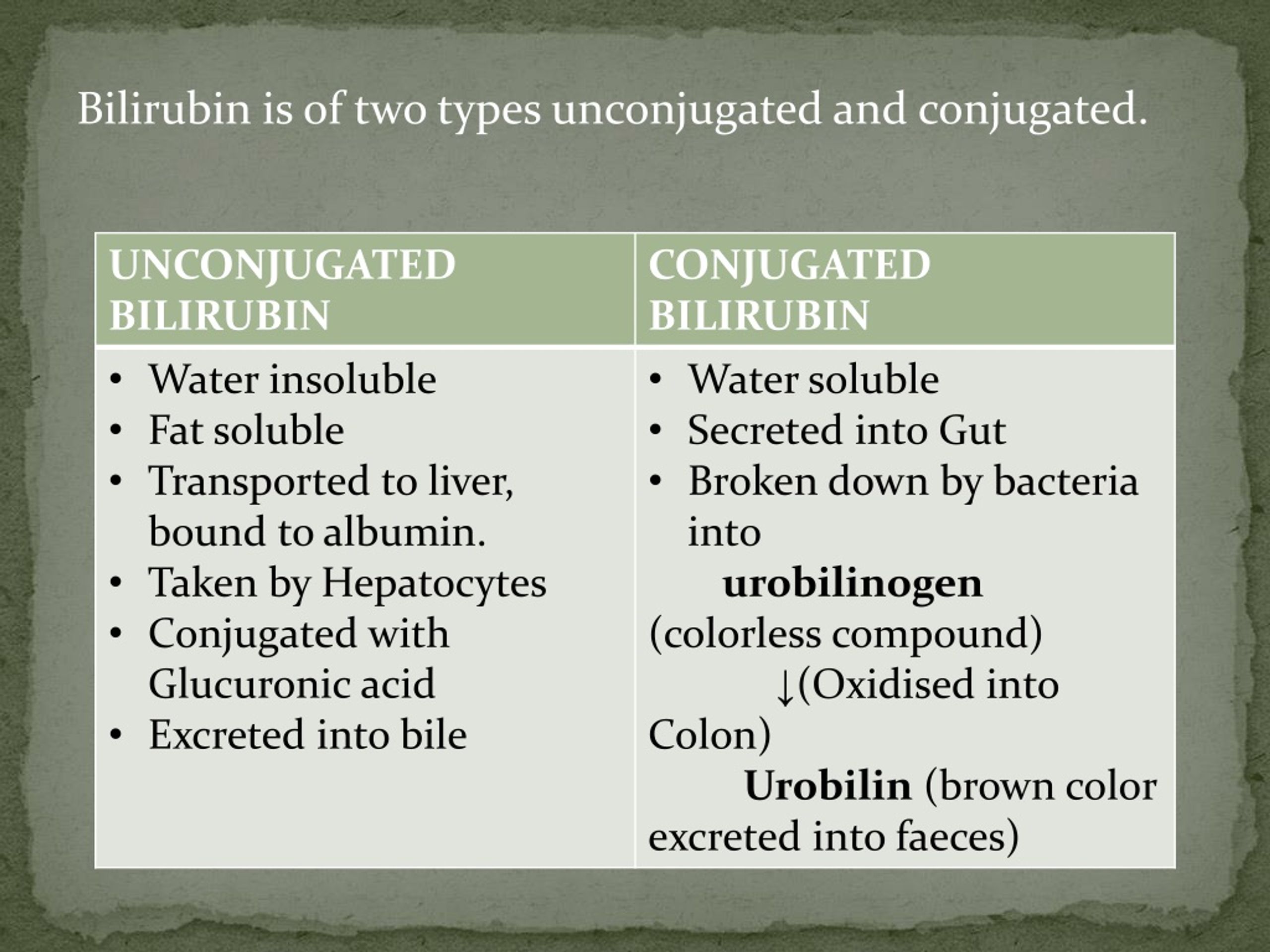 PPT LIVER FUNCTION TEST PowerPoint Presentation Free Download ID 