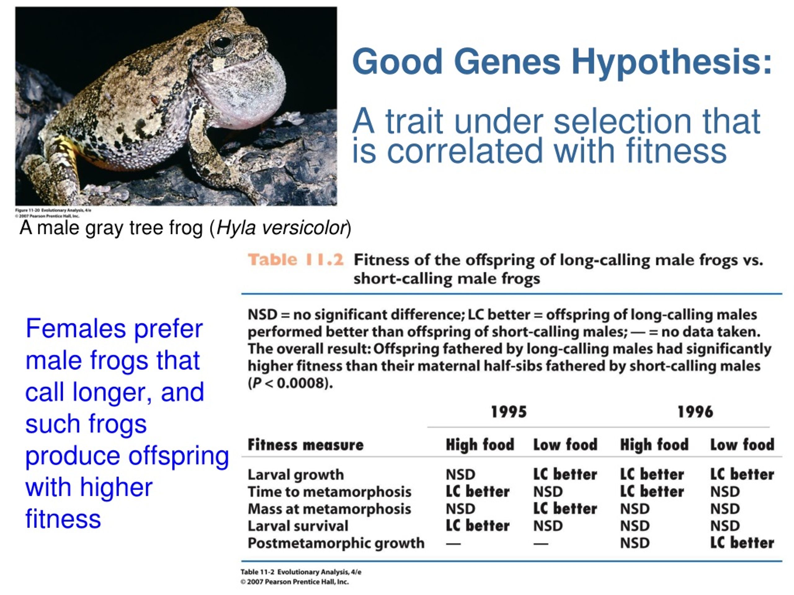 what is the good genes hypothesis