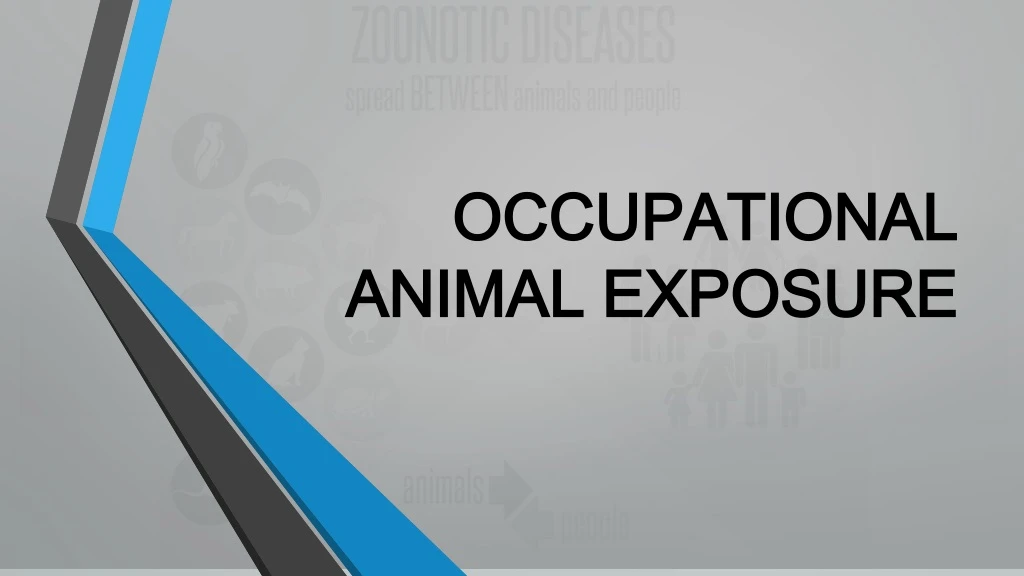 occupational animal exposure n.