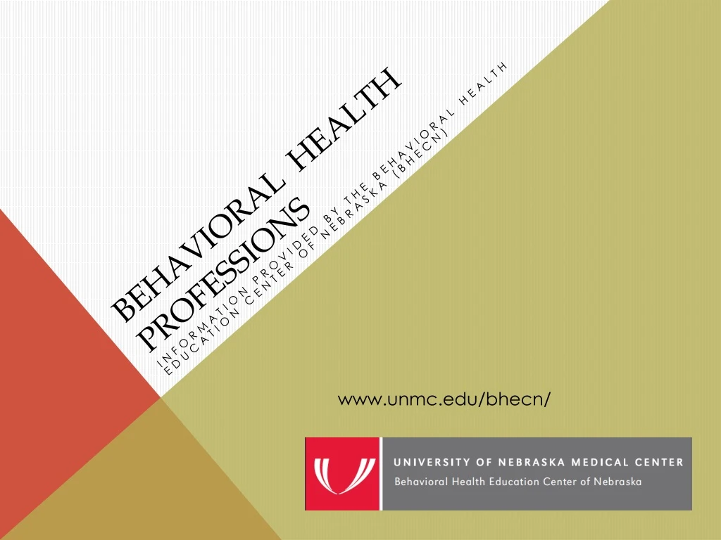 behavioral health professions n.