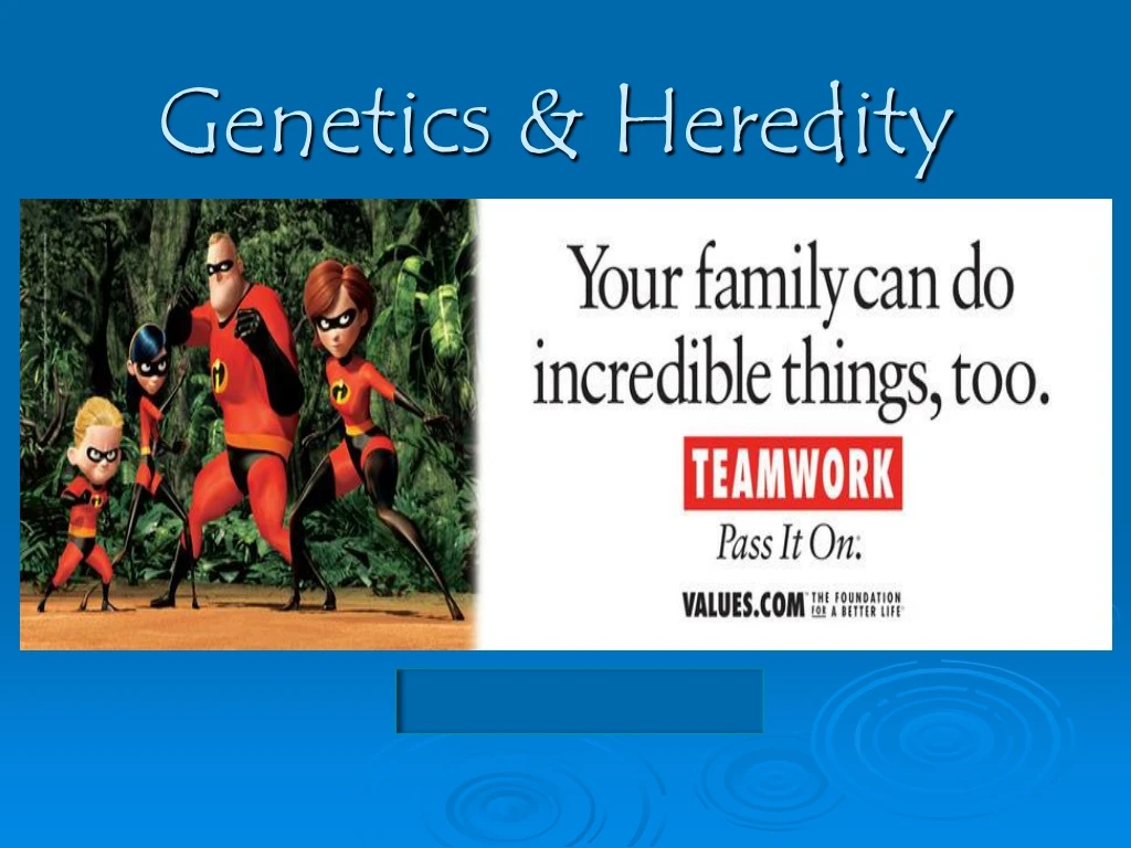 PPT - Genetics & Heredity PowerPoint Presentation, Free Download - ID ...