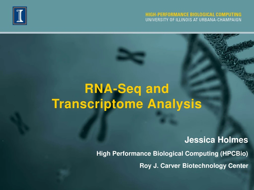 rna seq and transcriptome analysis n.