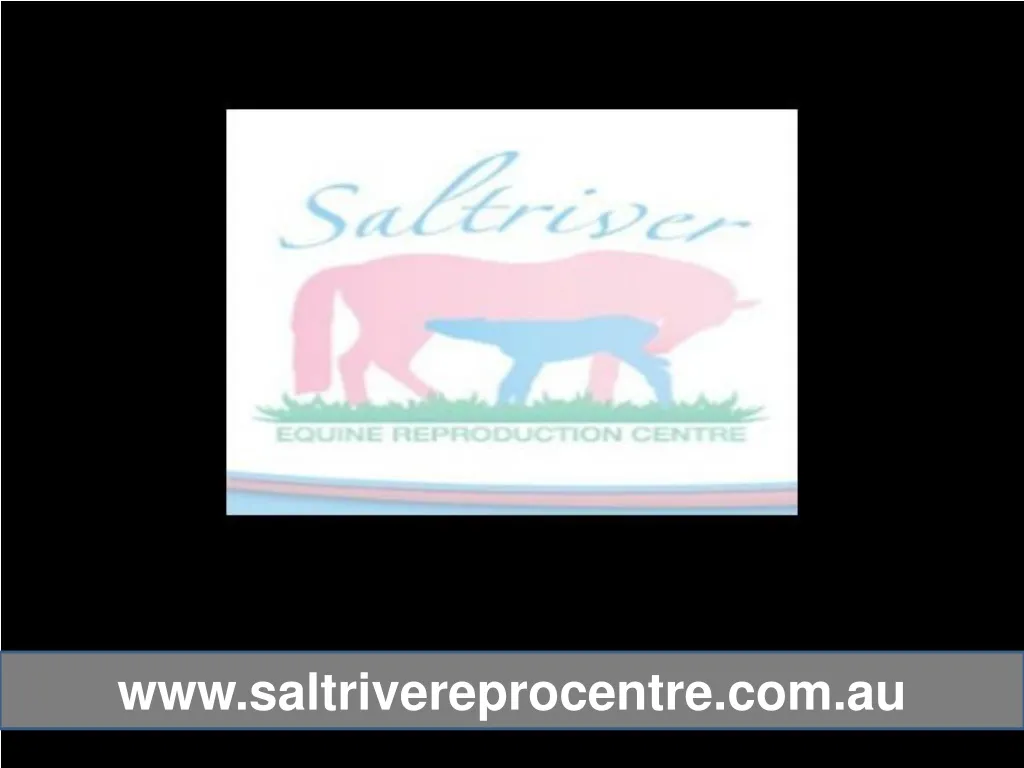 www saltrivereprocentre com au n.