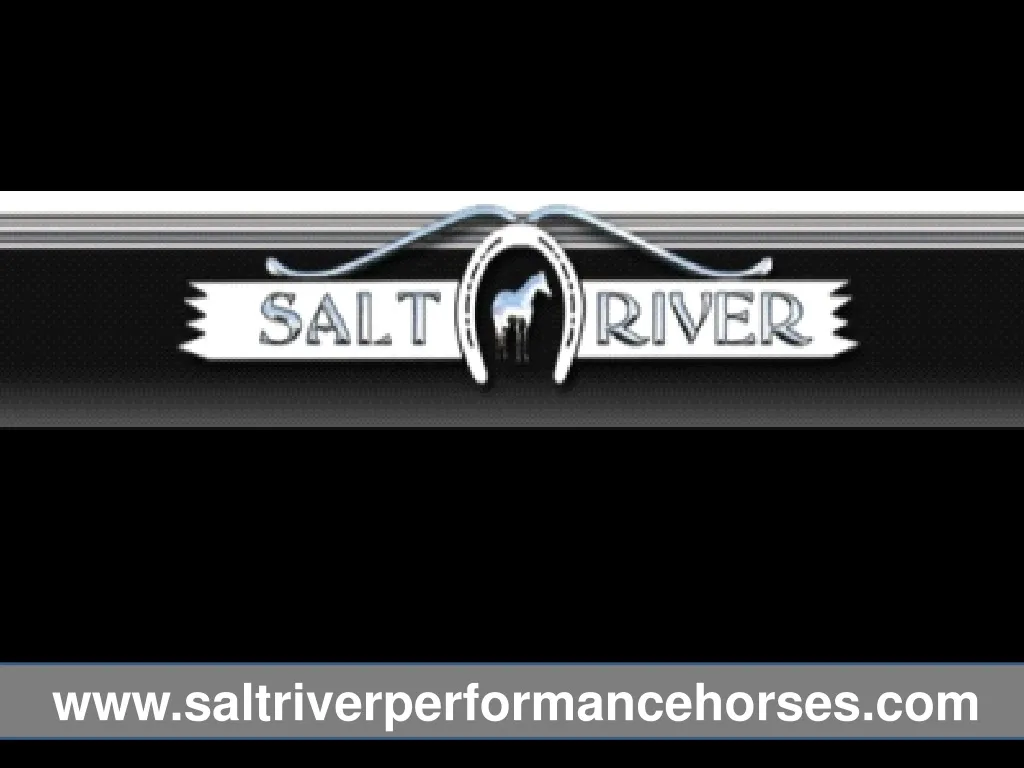 www saltriverperformancehorses com n.