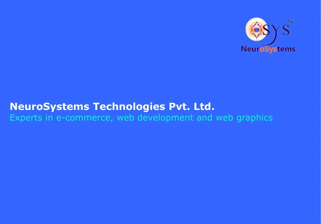 neurosystems technologies pvt ltd experts in e commerce web development and web graphics n.
