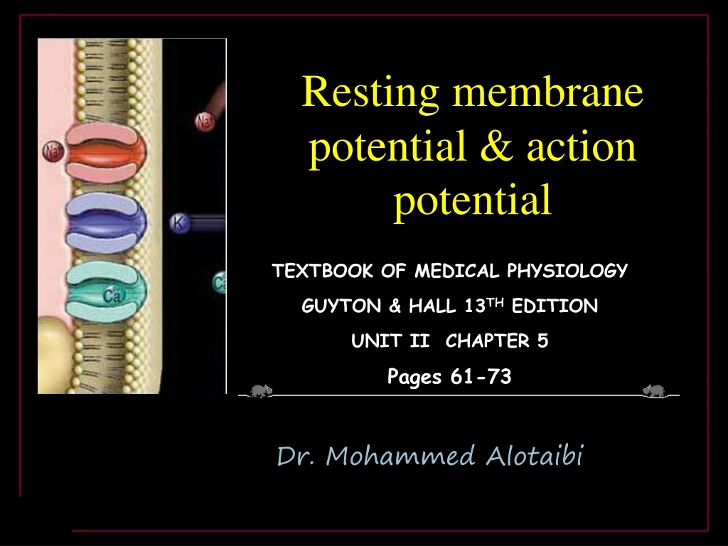 resting membrane potential action potential n.